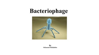 Bacteriophage
By
Mohammed Abdulkadhim
 