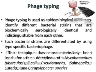 • Phage typing is used as epidemiological marker to
biochemically serologically identical
identify different bacterial strains that are
and
indistinguishable from each other.
• Such bacterial strains are differentiated by using
type specific bacteriophage.
• The technique has most extensively been
used for the detection of Mycobacterium
tuberculosis, E.coli, Pseudomonas, Salmonella,
Listeria, and Campylobacter species
 