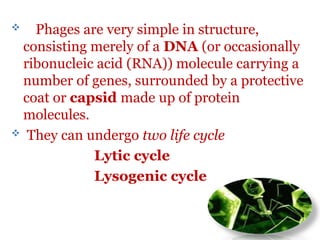  Phages are very simple in structure,
consisting merely of a DNA (or occasionally
ribonucleic acid (RNA)) molecule carrying a
number of genes, surrounded by a protective
coat or capsid made up of protein
molecules.
 They can undergo two life cycle
Lytic cycle
Lysogenic cycle
 