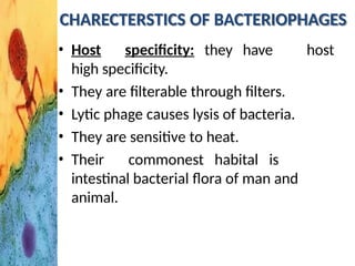 CHARECTERSTICS OF BACTERIOPHAGES
• Host specificity: they have
high specificity.
• They are filterable through filters.
• Lytic phage causes lysis of bacteria.
• They are sensitive to heat.
host
• Their commonest habital is
intestinal bacterial flora of man and
animal.
 