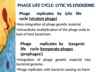 PHAGE LIFE CYCLE: LYTIC VS LYSOGENIC
Phage replicates by lytic life
cycle (virulent phage)
•Non-integration of phage genetic material
•Intracellular multiplication of the phage ends in
lysis of host bacterium.
Phage replicates by lysogenic
life cycle (temperate phages
(prophages))
•Integration of phage genetic material into
bacterial genome.
•Phage replicates with bacteria causing no harm
 