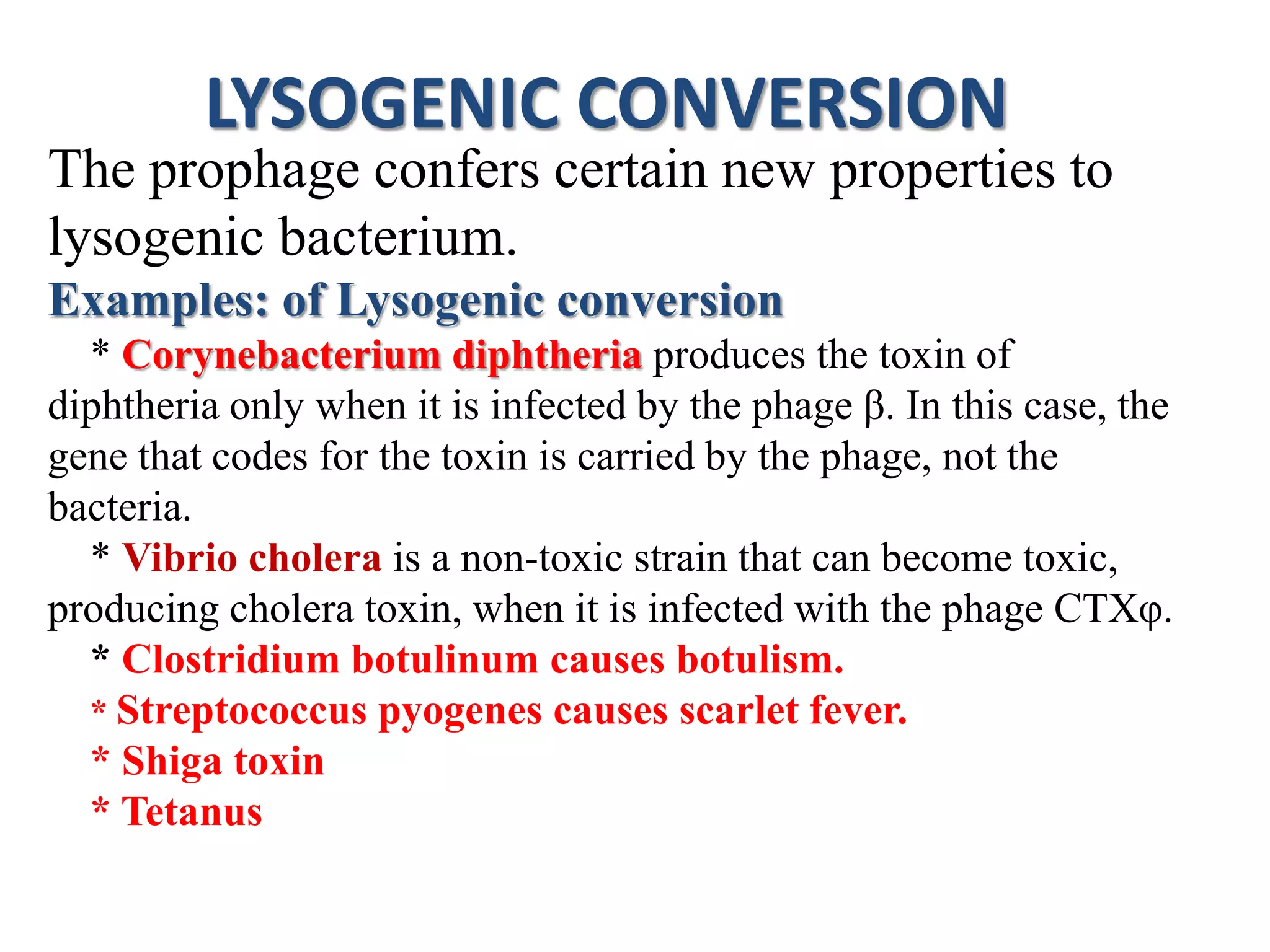 LYSOGENIC CONVERSION
The prophage confers certain new properties to
lysogenic bacterium.
Examples: of Lysogenic conversion
* Corynebacterium diphtheria produces the toxin of
diphtheria only when it is infected by the phage β. In this case, the
gene that codes for the toxin is carried by the phage, not the
bacteria.
* Vibrio cholera is a non-toxic strain that can become toxic,
producing cholera toxin, when it is infected with the phage CTXφ.
* Clostridium botulinum causes botulism.
* Streptococcus pyogenes causes scarlet fever.
* Shiga toxin
* Tetanus
 