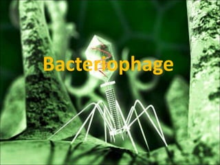 Bacteriophage
 