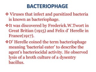 bacteriophage.ppt