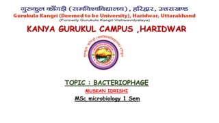 Kanya Gurukul Campus , Haridwar
KANYA GURUKUL CAMPUS ,HARIDWAR
TOPIC : BACTERIOPHAGE
MUSKAN IDRISHI
MSc microbiology 1 Sem
 