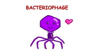 BACTERIOPHAGE
 