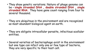 • They show genetic variations. Nature of phage genome can
be – single stranded DNA , double stranded DNA , single
stranded RNA. They have gene count ranging from four to
several thousand.
• They are ubiquitous in the environment and are recognized
as most abundant biological agent on earth.
• They are obligate intracellular parasite, infectious acellular
entities.
• Several varieties of bacteriophage exist in the environment
but one type can infect only one or few type of bacteria,
they are very specific to their host cell.
 