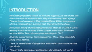 INTRODUCTION
Bacteriophage (bacteria-eater), as the name suggests, are the viruses that
infect and replicate within bacteria. They are commonly called a phage.
They are found everywhere. They contain DNA or RNA in their genome,
which is encapsulated in a protein coat. They also infect archaea.
Bactericidal activity of bacteriophage was first observed in 1896 by Ernest
Hanbury Hankin in the water of river Ganges, which could kill cholera
bacteria.William Twort discovered bacteriophage in 1915.
D’Hérelle termed them as ‘bacteriophage’ in 1917, as they showed the
ability to kill bacteria.
There are several types of phage virus, which infect only certain bacteria
specifically.
They act in the same way as antibiotics by disrupting the cell wall of
 