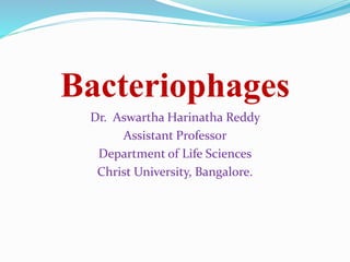 Bacteriophages
Dr. Aswartha Harinatha Reddy
Assistant Professor
Department of Life Sciences
Christ University, Bangalore.
 