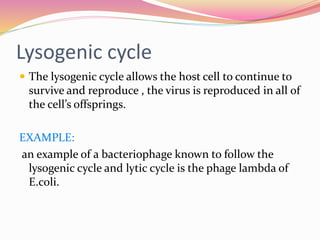 Lysogenic cycle
 The lysogenic cycle allows the host cell to continue to
survive and reproduce , the virus is reproduced in all of
the cell’s offsprings.
EXAMPLE:
an example of a bacteriophage known to follow the
lysogenic cycle and lytic cycle is the phage lambda of
E.coli.
 