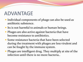 ADVANTAGE
 Individual components of phage can also be used as
antibiotic substence.
 Its is not harmful to animals or human beings.
 Phages are also active against bacteria that have
become resistance to antibiotics.
 Some resistance bacteria that have been selected
during the treatment with phages are less virulent and
can be fought by the immune system.
 Phages are intelligent drug. They multiply at site of the
infection until there is no more bacteria..
 