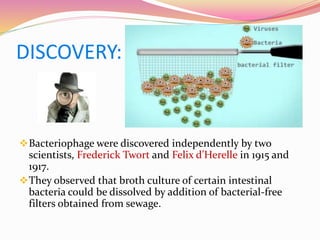 DISCOVERY:
Bacteriophage were discovered independently by two
scientists, Frederick Twort and Felix d’Herelle in 1915 and
1917.
They observed that broth culture of certain intestinal
bacteria could be dissolved by addition of bacterial-free
filters obtained from sewage.
 