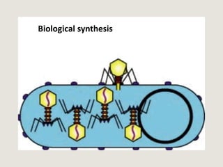 Biological synthesis
 