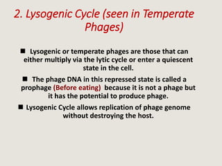 2. Lysogenic Cycle (seen in Temperate
Phages)
 Lysogenic or temperate phages are those that can
either multiply via the lytic cycle or enter a quiescent
state in the cell.
 The phage DNA in this repressed state is called a
prophage (Before eating) because it is not a phage but
it has the potential to produce phage.
 Lysogenic Cycle allows replication of phage genome
without destroying the host.
 