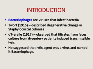 INTRODUCTION
• Bacteriophages are viruses that infect bacteria
• Twort (1915) – described degenerative change in
Staphylococcal colonies
• d'Herelle (1917) – observed that filtrates from feces
culture from dysentery patients induced transmissible
lysis
• He suggested that lytic agent was a virus and named
it Bacteriophage.
 