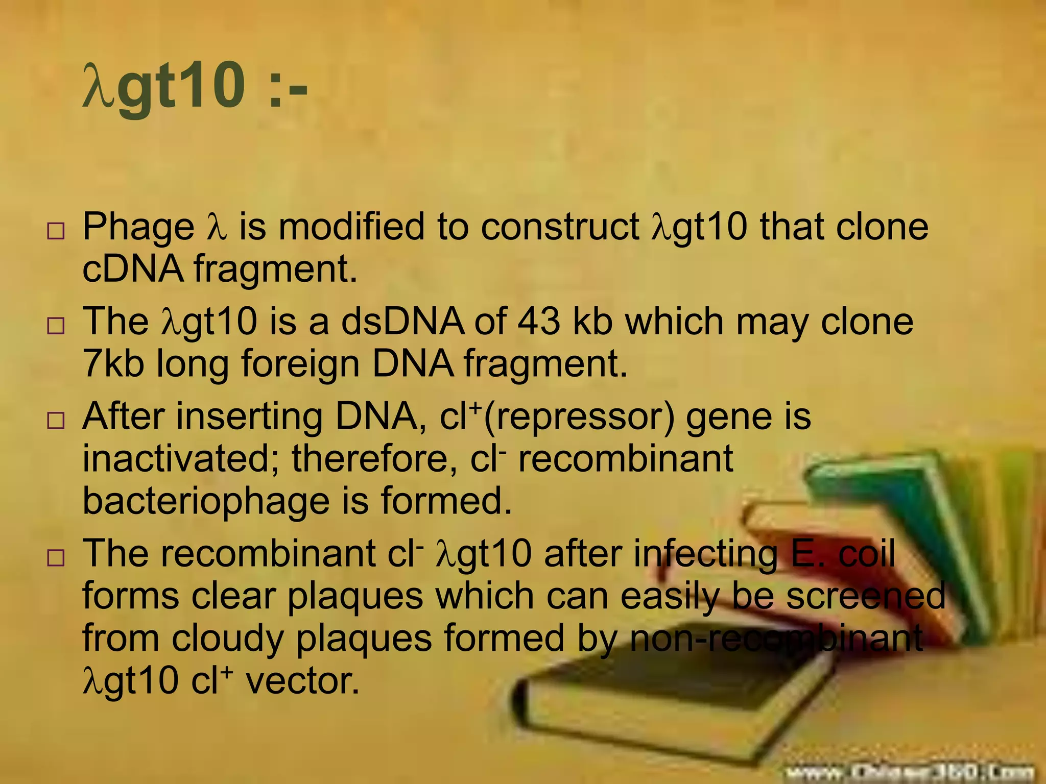 Bacteriophage by reshma | PPTX