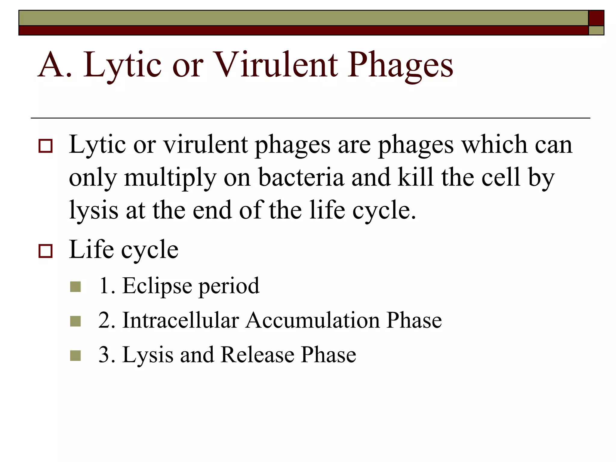 A. Lytic or Virulent Phages
 Lytic or virulent phages are phages which can
only multiply on bacteria and kill the cell by
lysis at the end of the life cycle.
 Life cycle
 1. Eclipse period
 2. Intracellular Accumulation Phase
 3. Lysis and Release Phase
 