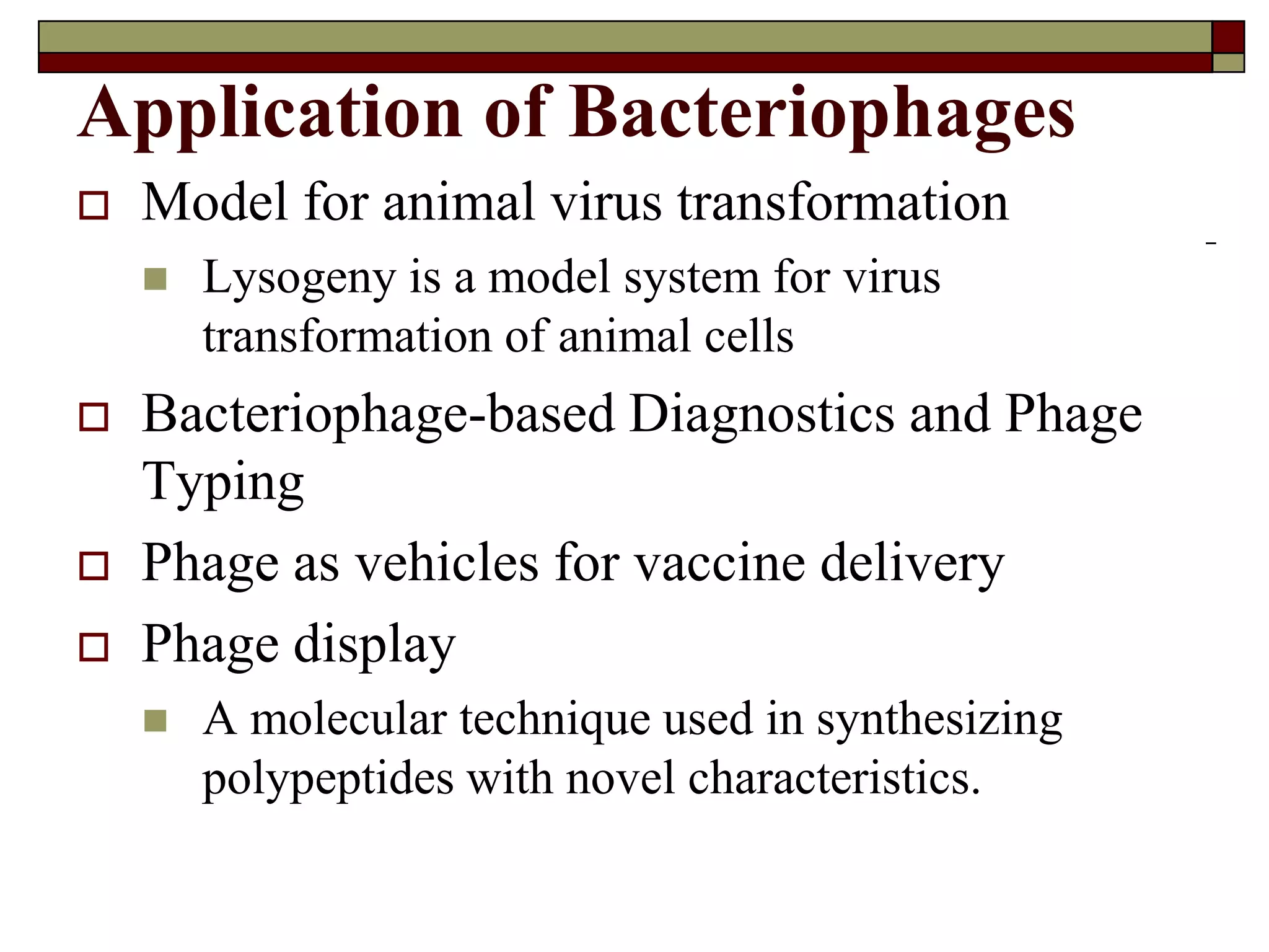 Application of Bacteriophages
 Model for animal virus transformation
 Lysogeny is a model system for virus
transformation of animal cells
 Bacteriophage-based Diagnostics and Phage
Typing
 Phage as vehicles for vaccine delivery
 Phage display
 A molecular technique used in synthesizing
polypeptides with novel characteristics.
 