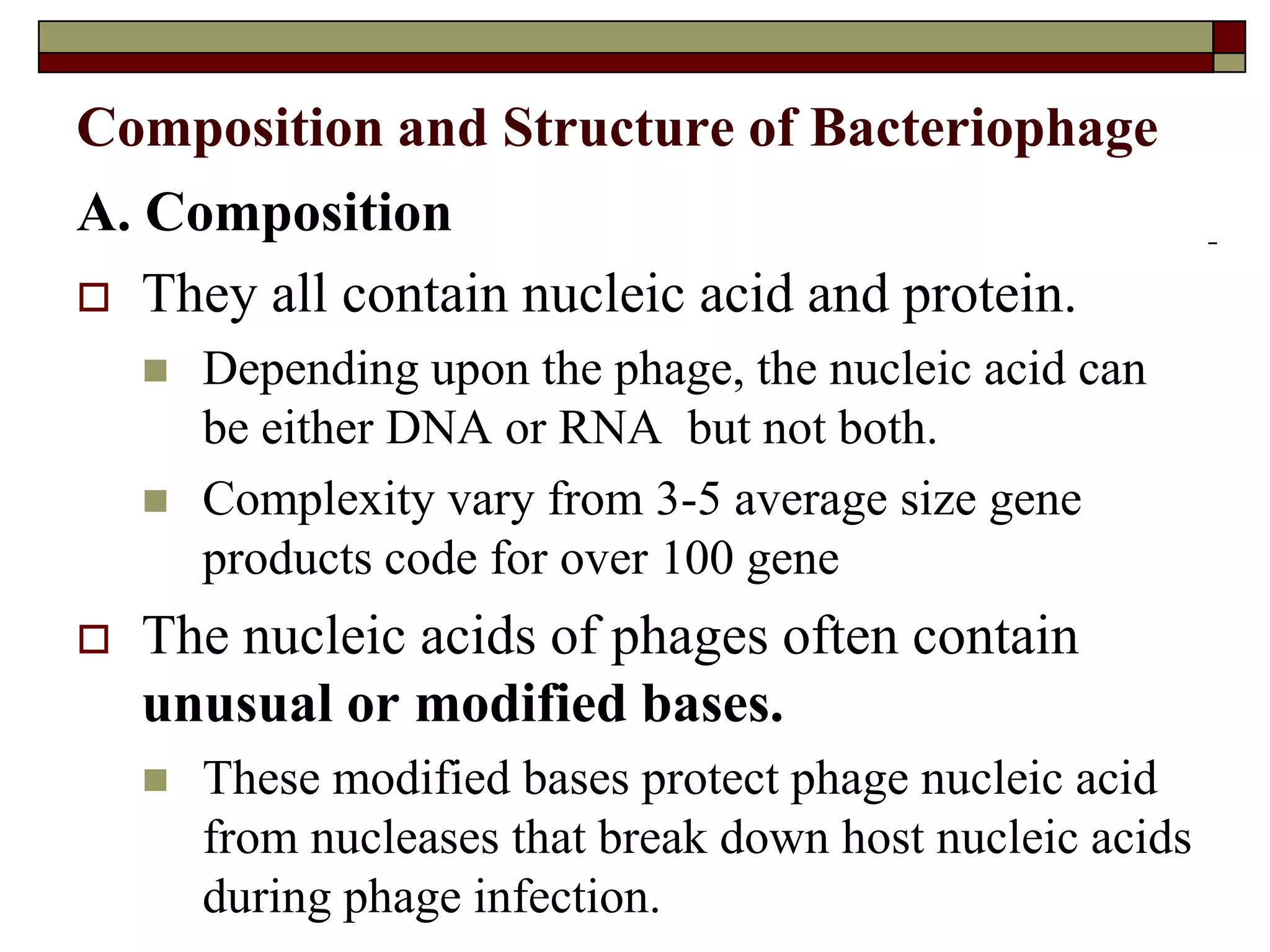 Composition and Structure of Bacteriophage
A. Composition
 They all contain nucleic acid and protein.
 Depending upon the phage, the nucleic acid can
be either DNA or RNA but not both.
 Complexity vary from 3-5 average size gene
products code for over 100 gene
 The nucleic acids of phages often contain
unusual or modified bases.
 These modified bases protect phage nucleic acid
from nucleases that break down host nucleic acids
during phage infection.
 