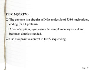 Page 10
Phi×174(ΦX174)
 The genome is a circular ssDNA molecule of 5386 nucleotides,
coding for 11 proteins.
 After adsorption, synthesizes the complementary strand and
becomes double stranded.
 Use as a positive control in DNA sequencing.
 