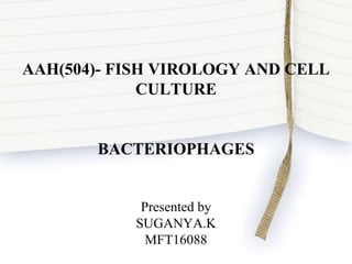 AAH(504)- FISH VIROLOGY AND CELL
CULTURE
BACTERIOPHAGES
Presented by
SUGANYA.K
MFT16088
 