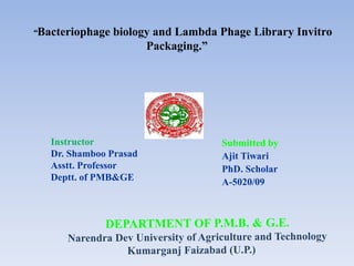 “Bacteriophage biology and Lambda Phage Library Invitro
Packaging.”
Instructor
Dr. Shamboo Prasad
Asstt. Professor
Deptt. of PMB&GE
Submitted by
Ajit Tiwari
PhD. Scholar
A-5020/09
 