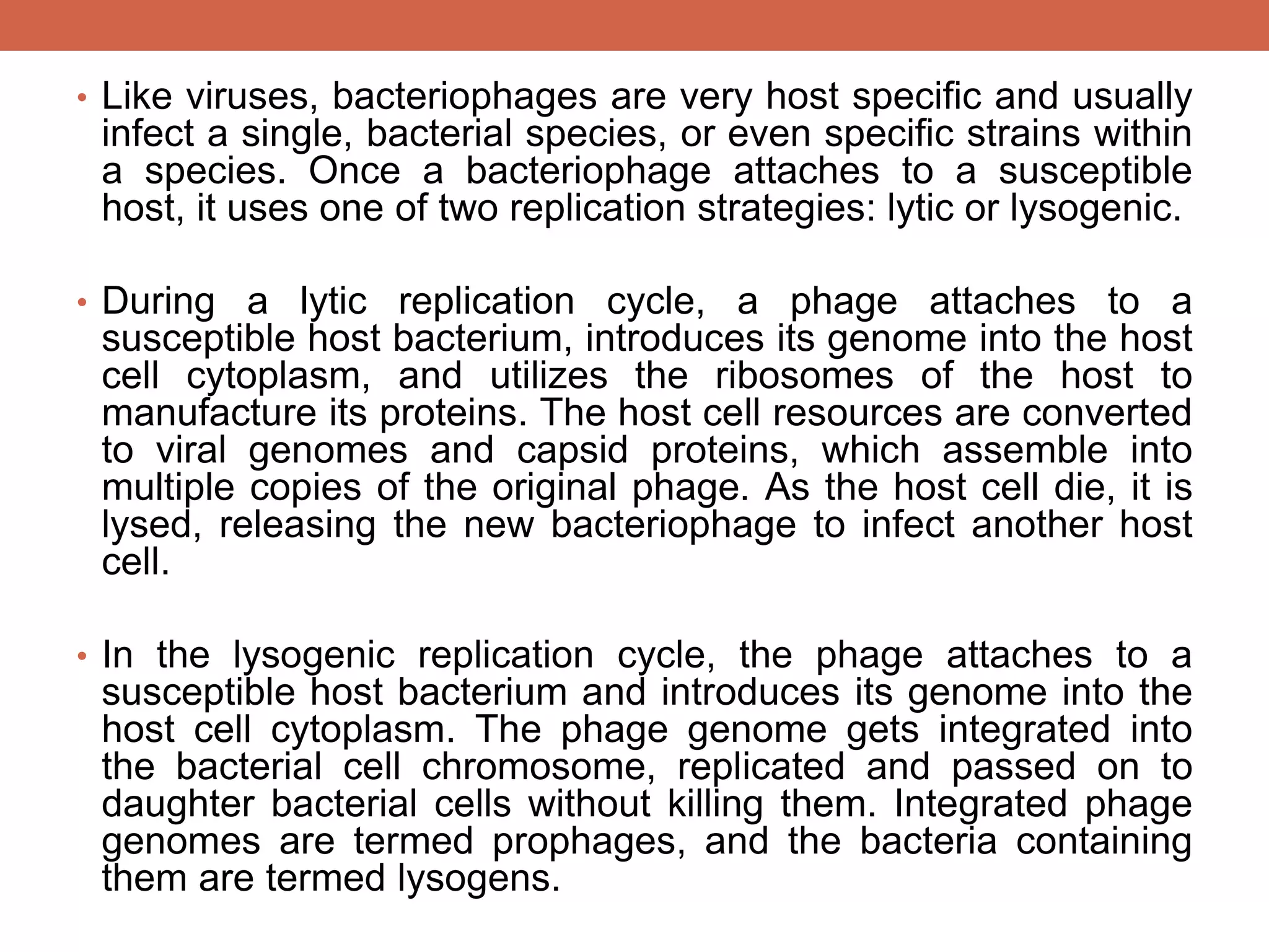 Bacteriophages | PDF