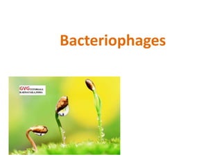 Bacteriophages
 