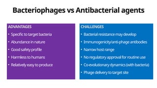 Bacteriophages vs Antibacterial agents
ADVANTAGES
• Specifictotargetbacteria
• Abundanceinnature
• Goodsafetyprofile
• Harmlesstohumans
• Relativelyeasytoproduce
CHALLENGES
• Bacterialresistancemaydevelop
• Immunogenicity/anti-phageantibodies
• Narrowhostrange
• Noregulatoryapprovalforroutineuse
• Co-evolutionarydynamics(withbacteria)
• Phagedeliverytotargetsite
 