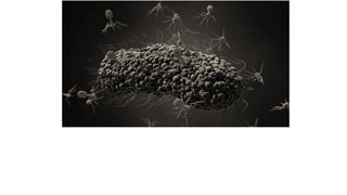 LECTURE_BACTERIOPHAGES_MICROBIOLOGY.PPTX