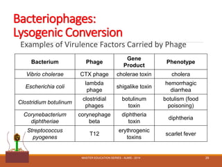 Bacteriophages:
Lysogenic Conversion
Bacterium Phage
Gene
Product
Phenotype
Vibrio cholerae CTX phage cholerae toxin cholera
Escherichia coli
lambda
phage
shigalike toxin
hemorrhagic
diarrhea
Clostridium botulinum
clostridial
phages
botulinum
toxin
botulism (food
poisoning)
Corynebacterium
diphtheriae
corynephage
beta
diphtheria
toxin
diphtheria
Streptococcus
pyogenes
T12
erythrogenic
toxins
scarlet fever
Examples of Virulence Factors Carried by Phage
MASTER EDUCATION SERIES - AUMS - 2014 29
 