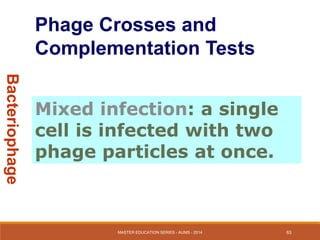 Bacteriophages | PDF