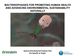 BACTERIOPHAGES FOR PROMOTING HUMAN HEALTH
AND ADVANCING ENVIRONMENTAL SUSTAINABILITY
NATURALLY
Photo: Purdue University and Seyet LLC
Natural Anti-Bacterial Products That
Are Specific to Target.
 