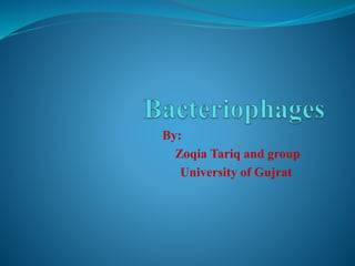 By:
Zoqia Tariq and group
University of Gujrat
 