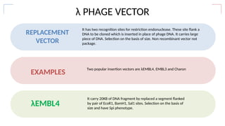BACTERIOPHAGE VECTOR USED IN GENETIC ENGINEERING | PPTX