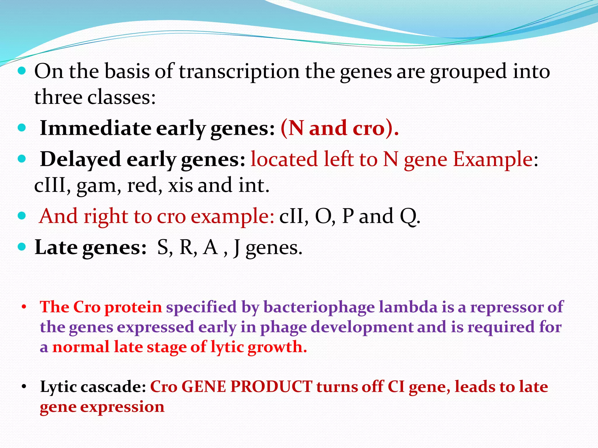Bacteriophage T4 and Bacteriophage lambda | PPTX