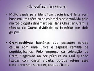 Classificação Gram
• Muito usada para identificar bactérias, é feita com
  base em uma técnica de coloração desenvolvida pelo
  microbiologista dinamarquês Hans Christian Gram, a
  técnica de Gram; dividindo as bactérias em dois
  grupos :

• Gram-positivas: bactérias que possuem parede
  celular com uma única e espessa camada de
  peptidoglicanos. Pelo emprego da coloração de
  Gram, tingem-se na cor púrpura ou azul quando
  fixadas com cristal violeta, porque retêm esse
  corante mesmo sendo expostas a álcool.
 