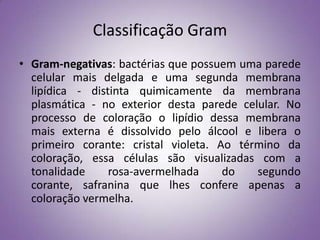 Classificação Gram
• Gram-negativas: bactérias que possuem uma parede
  celular mais delgada e uma segunda membrana
  lipídica - distinta quimicamente da membrana
  plasmática - no exterior desta parede celular. No
  processo de coloração o lipídio dessa membrana
  mais externa é dissolvido pelo álcool e libera o
  primeiro corante: cristal violeta. Ao término da
  coloração, essa células são visualizadas com a
  tonalidade     rosa-avermelhada     do   segundo
  corante, safranina que lhes confere apenas a
  coloração vermelha.
 