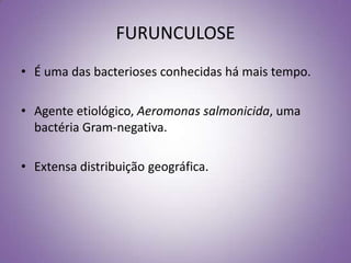 FURUNCULOSE
• É uma das bacterioses conhecidas há mais tempo.

• Agente etiológico, Aeromonas salmonicida, uma
  bactéria Gram-negativa.

• Extensa distribuição geográfica.
 