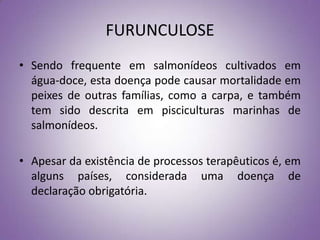 FURUNCULOSE
• Sendo frequente em salmonídeos cultivados em
  água-doce, esta doença pode causar mortalidade em
  peixes de outras famílias, como a carpa, e também
  tem sido descrita em pisciculturas marinhas de
  salmonídeos.

• Apesar da existência de processos terapêuticos é, em
  alguns países, considerada uma doença de
  declaração obrigatória.
 
