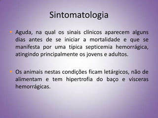 Sintomatologia
 Aguda, na qual os sinais clínicos aparecem alguns
  dias antes de se iniciar a mortalidade e que se
  manifesta por uma típica septicemia hemorrágica,
  atingindo principalmente os jovens e adultos.

 Os animais nestas condições ficam letárgicos, não de
  alimentam e tem hipertrofia do baço e vísceras
  hemorrágicas.
 