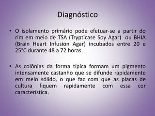 Diagnóstico
• O isolamento primário pode efetuar-se a partir do
  rim em meio de TSA (Trypticase Soy Agar) ou BHIA
  (Brain Heart Infusion Agar) incubados entre 20 e
  25°C durante 48 a 72 horas.

• As colônias da forma típica formam um pigmento
  intensamente castanho que se difunde rapidamente
  em meio sólido, o que faz com que as placas de
  cultura fiquem rapidamente com essa cor
  característica.
 