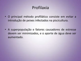 Profilaxia
• O principal método profilático consiste em evitar a
  introdução de peixes infectados na piscicultura.

• A superpopulação e fatores causadores de estresse
  devem ser minimizados, e o aporte de água deve ser
  aumentado.
 