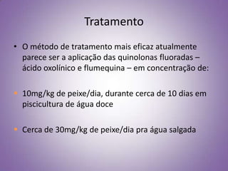 Tratamento
• O método de tratamento mais eficaz atualmente
  parece ser a aplicação das quinolonas fluoradas –
  ácido oxolínico e flumequina – em concentração de:

 10mg/kg de peixe/dia, durante cerca de 10 dias em
  piscicultura de água doce

 Cerca de 30mg/kg de peixe/dia pra água salgada
 