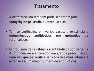Tratamento
• A oxitetraciclina também pode ser empregada
 50mg/kg de peixe/dia durante 10 dias.

• Tem-se verificado, em vários casos, a existência a
  determinados antibióticos em epizootias de
  furunculose.

• O problema de resistência a antibióticos por parte de
  A. salmonicida é encarado com grande preocupação,
  uma vez que se verifica ser cada vez mais intensa e
  extensiva a um maior número de antibióticos.
 