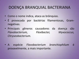 DOENÇA BRANQUIAL BACTERIANA
• Como o nome indica, ataca as brânquias.
• É provocada por bactérias filamentosas, Gram-
  negativas.
• Principais gêneros causadores da doença são
  Flavobacterium,      Flexibacter,      Myxococcus,
  Chryseobacterium.

• A espécie Flavobacterium branchiophilum         é
  provavelmente, a mais importante.
 