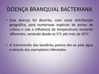 DOENÇA BRANQUIAL BACTERIANA
• Esta doença foi descrita, com vasta distribuição
  geográfica, para numerosas espécies de peixes de
  cultivo e sob a influência de temperaturas bastante
  diferentes, variando desde os 5°C até mais de 20°C.

• A transmissão das bactérias parece dar-se pela água
  e através dos exemplares infectados.
 