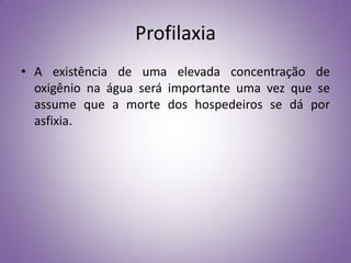 Profilaxia
• A existência de uma elevada concentração de
  oxigênio na água será importante uma vez que se
  assume que a morte dos hospedeiros se dá por
  asfixia.
 