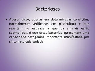 Bacterioses
• Apesar disso, apenas em determinadas condições,
  normalmente verificadas em piscicultura e que
  resultam no estresse a que os animais estão
  submetidos, é que estas bactérias apresentam uma
  capacidade patogênica importante manifestada por
  sintomatologia variada.
 