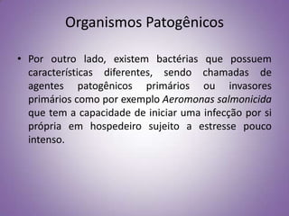 Organismos Patogênicos

• Por outro lado, existem bactérias que possuem
  características diferentes, sendo chamadas de
  agentes patogênicos primários ou invasores
  primários como por exemplo Aeromonas salmonicida
  que tem a capacidade de iniciar uma infecção por si
  própria em hospedeiro sujeito a estresse pouco
  intenso.
 